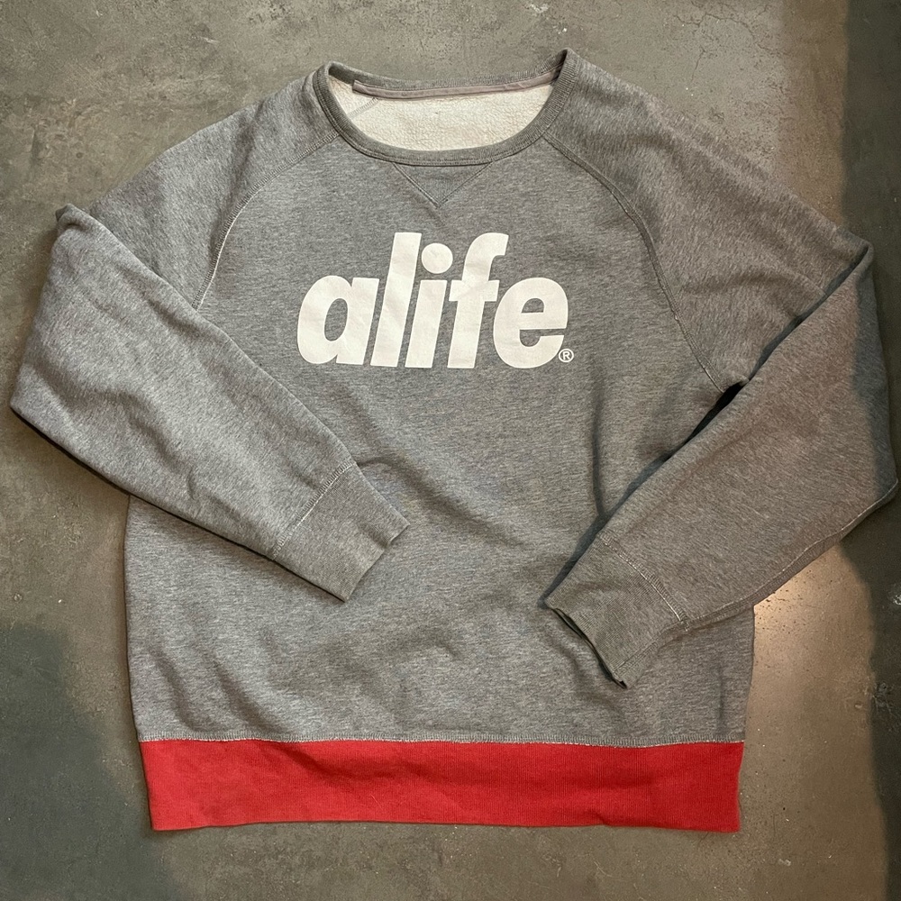 Alfie pullover sweatshirt. Grey with red/pinkish lining along the bottom.